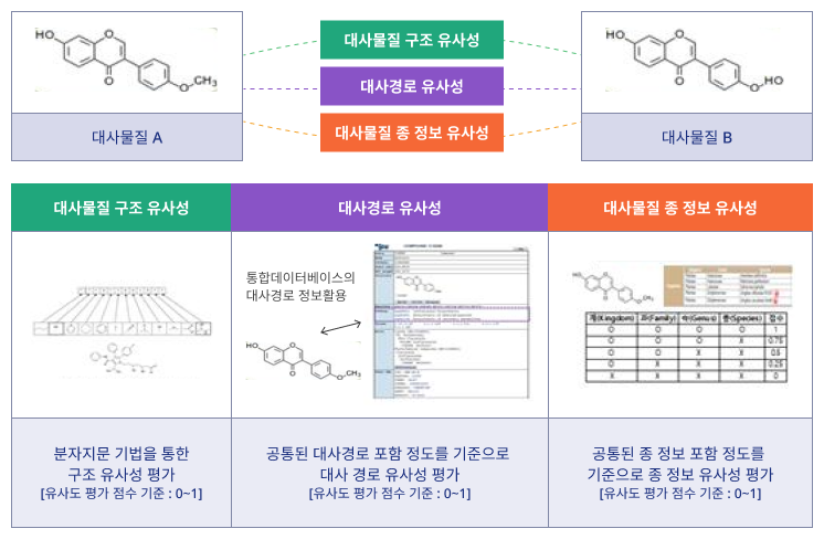 대사물질A와 B사이에는 대사물질 구조 유사성, 대사경로 유사성, 대사 물질 종 정보 유사성이 있으며 대사 물질 구조 유사성은 분자지문 기법을 통한 구조 유사성평가이고 대사경로 유사성은 통합데이터베이스의 대사경로 정보를 활용하여 공통된 대사 경로 포함 정도를 기준으로 대사 경로 유사성을 평가합니다. 대사물질 종 정보 유사성은 공통된 종 정보 포함 정도를 기준으로 종 정보 유사성을 평가합니다.