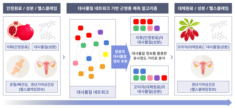 대사물질 알고리즘 구성도의 그림이며 인정원료,성분,헬스클레임 대사물질 네트워크 기반 근영종 예측 알고림 대체원료/성분/헬스크레임 세단계로 나뉘어 져 있으며 예시로 첫번째 단계인 인정원료/성분/헬스크레임에는 석류(인정원료) 대사물질(성분) 관절/뼈건강, 갱년기여성건강 (헬스크레임정보) 이고 대사물질 네트워크 기반 근영종 예측 알고리즘 내부는 대사물질 네트워크에서 원료의 대사물질 정보추론 과정을 통해 석류(인정원료)의 대사물질(성분) 대사물질 정보를 활용한 유사정도 거리로 분석, 오미자(대체원료)의 대사물질(성분) 단계를 거칩니다. 대체원료/성분/헬스크레임 마지막 단계에서는 석류가 대체원료의 예씨로 들어있고 대사물질(성분) 갱년기 여성건강(헬스크레임정보)를 나타냅니다.