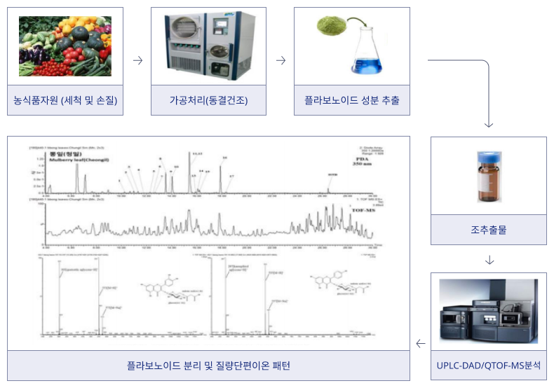크로마토그램 및 질량분석정보 과정 